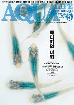 Ϲ